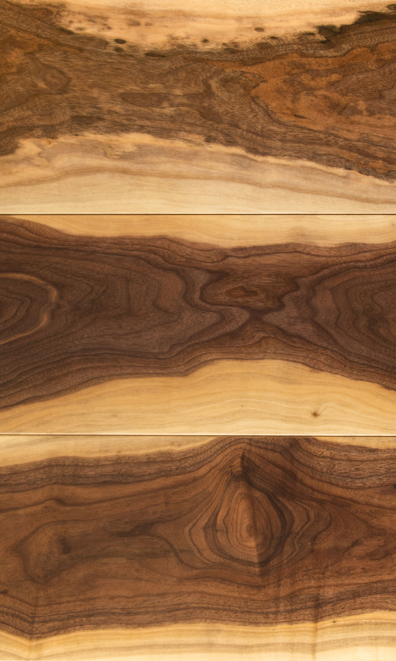 Walnut Bongo, Грецкий орех Бонго