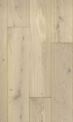 Giza oak, Дуб Гиза