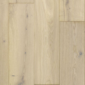 Giza oak, Дуб Гиза