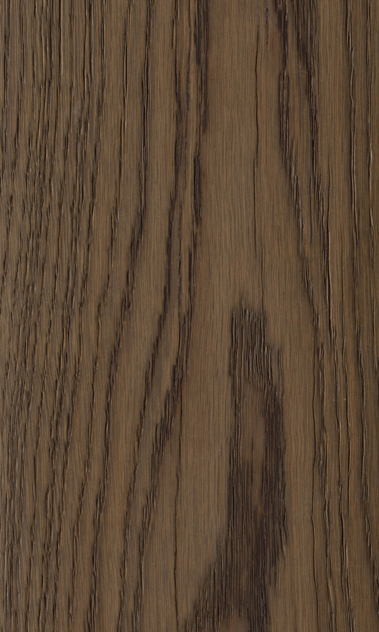 Cobalt Oak, Дуб кобальт