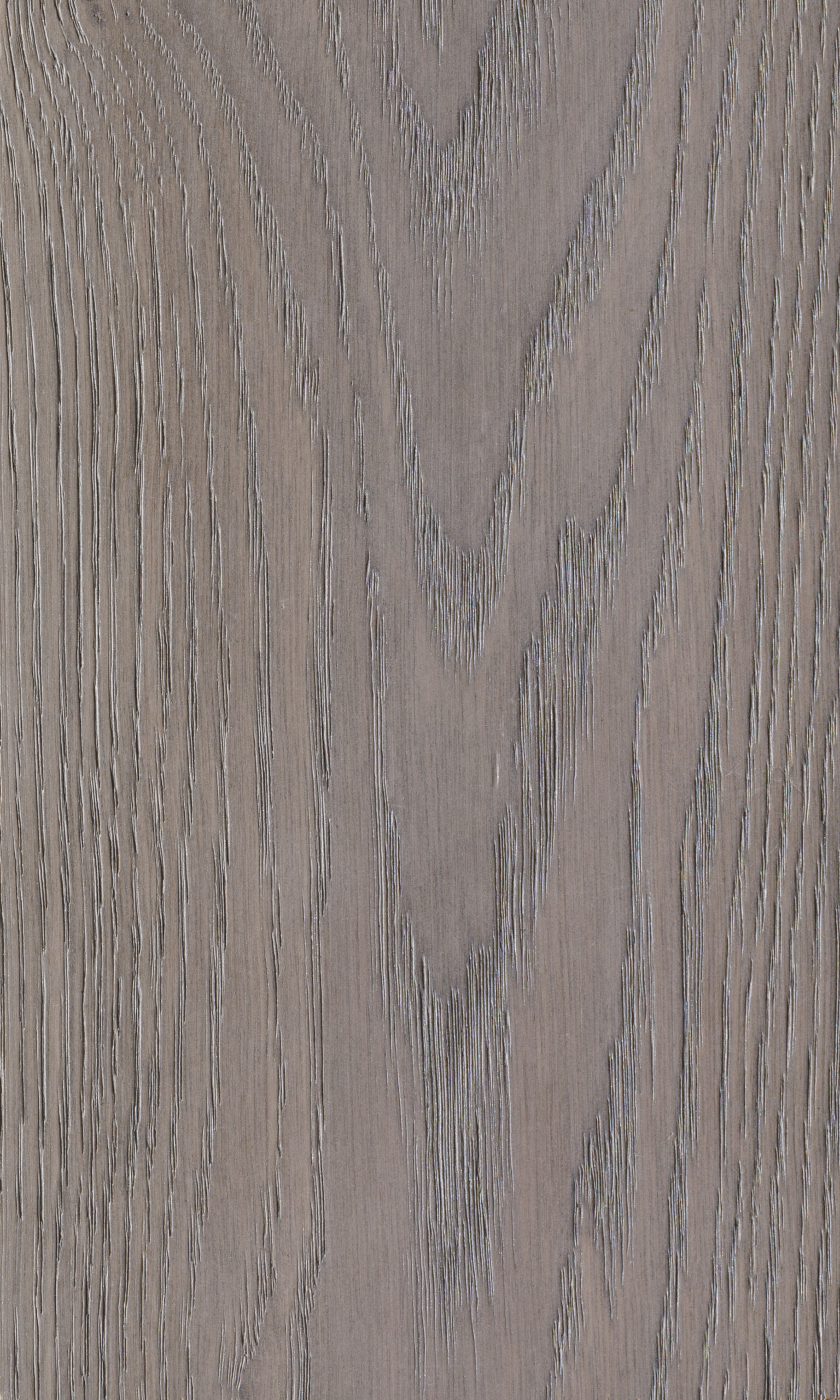 Tourmaline oak, Дуб турмалин