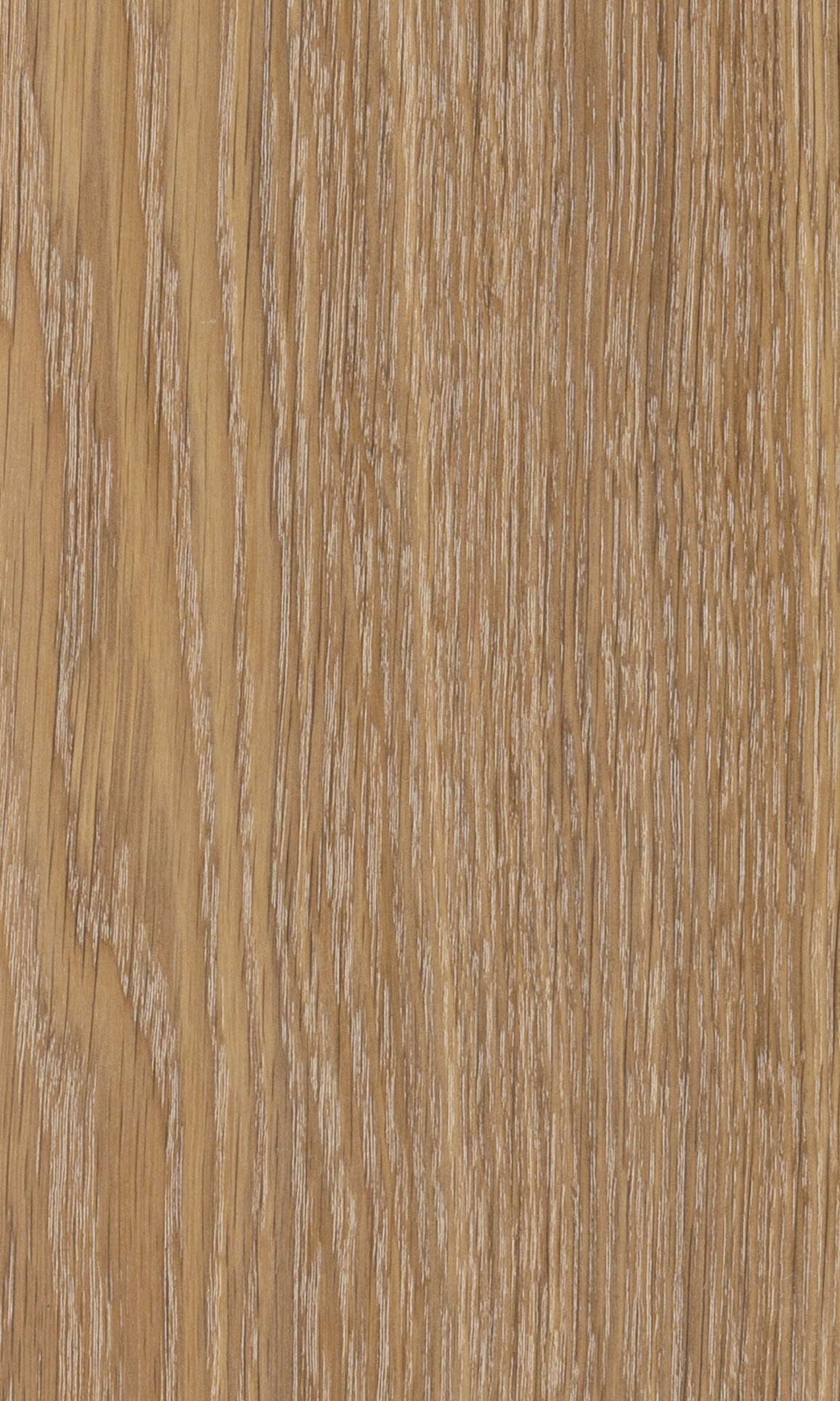 Scandium oak, Дуб скандий