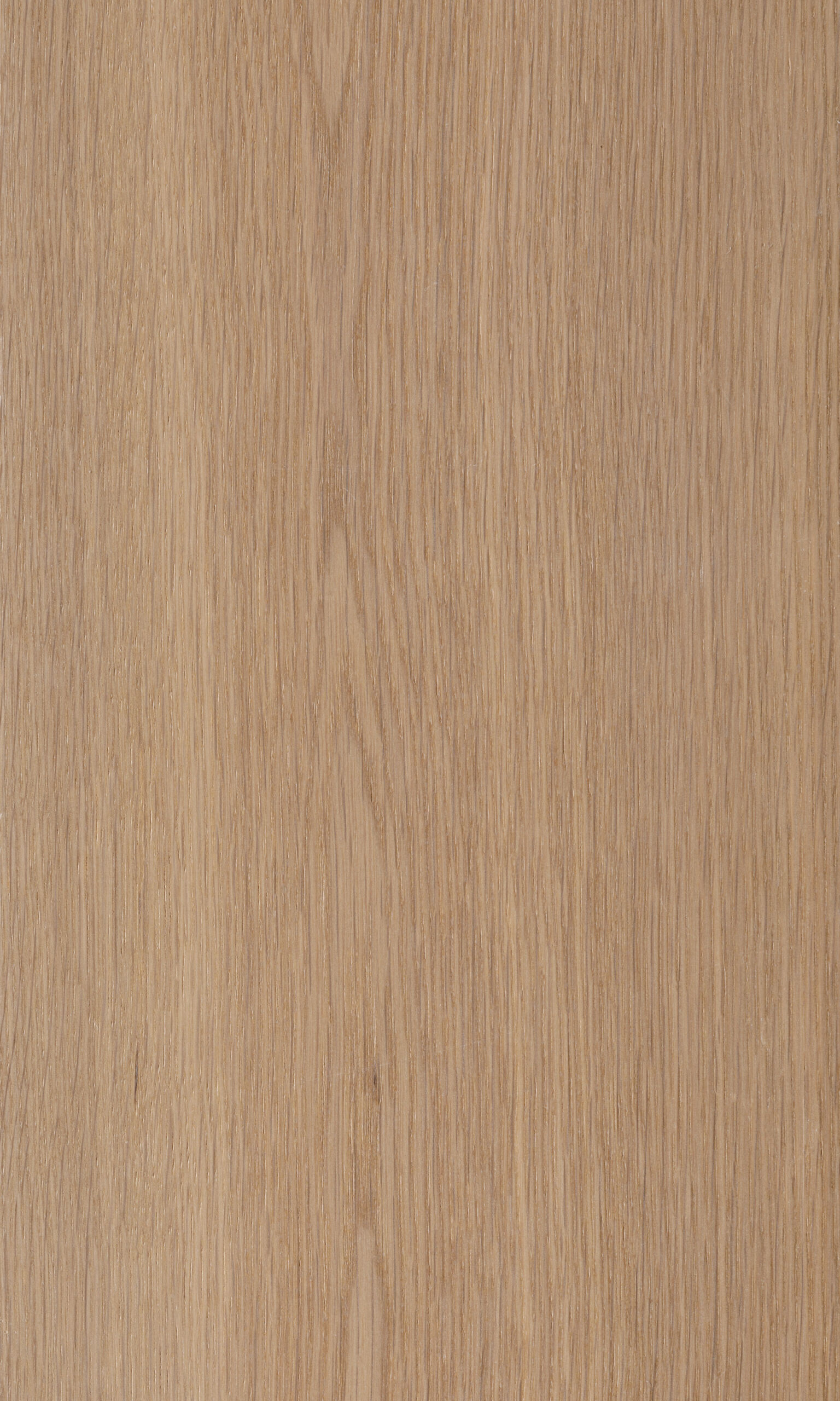 Helium Oak, Дуб гелий