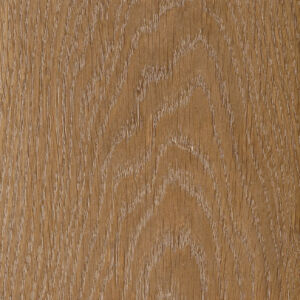 Vanadium oak, Дуб ванадий