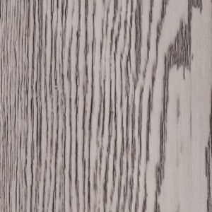 Titanium Oak, Дуб титан