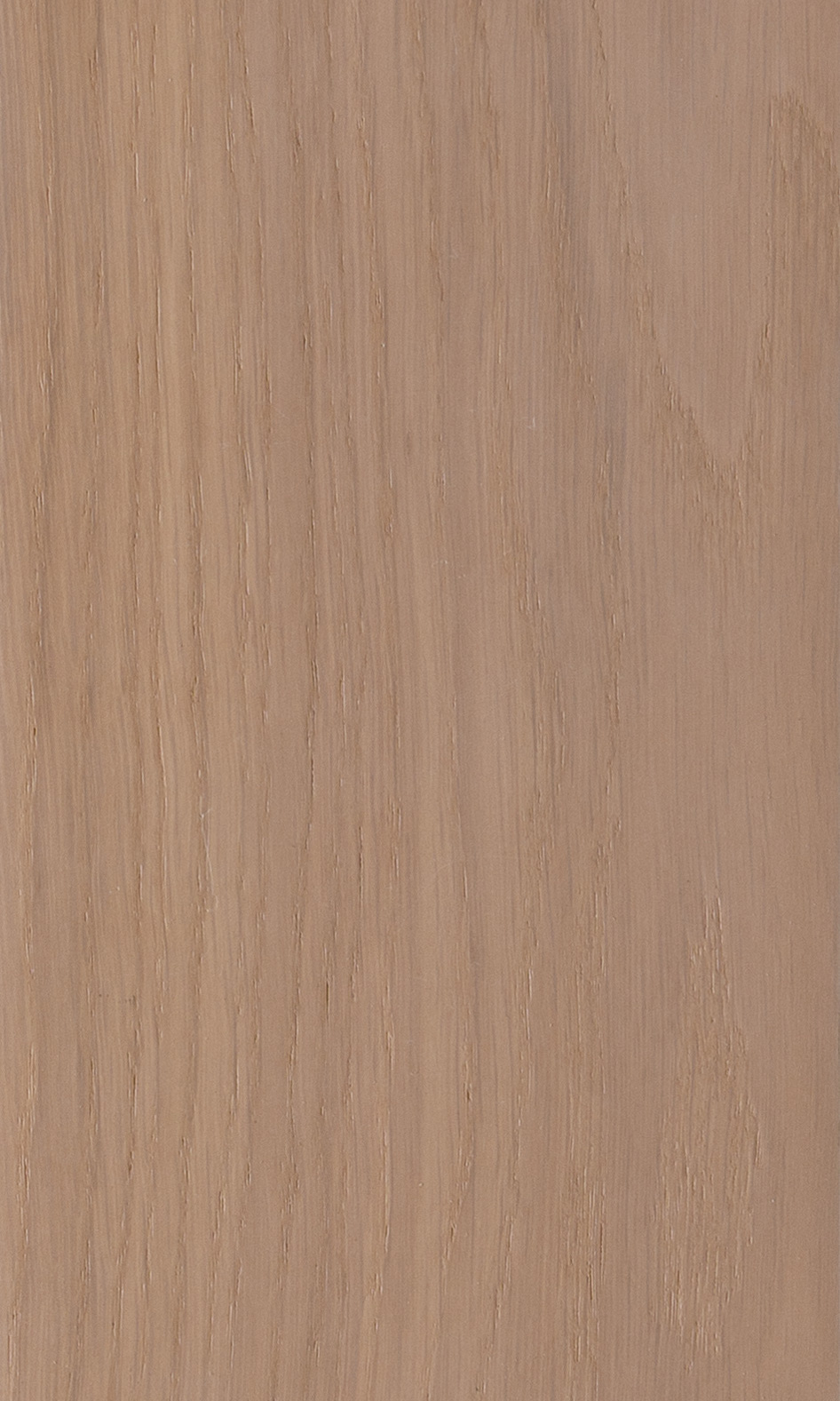 Silicon Oak, Дуб кремний