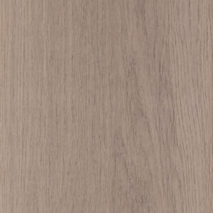 Palladium oak, Дуб палладий