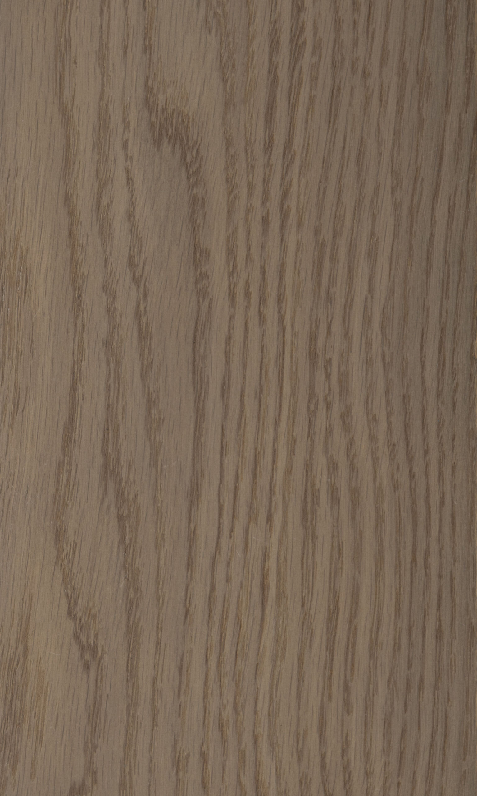 Legno di Elica, Древесина вереска