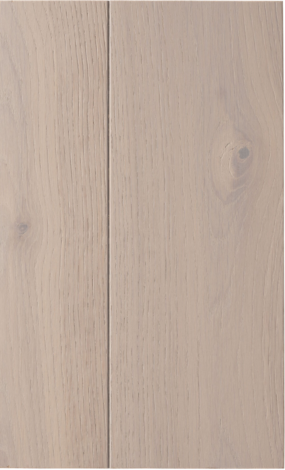 White oak, Белый дуб