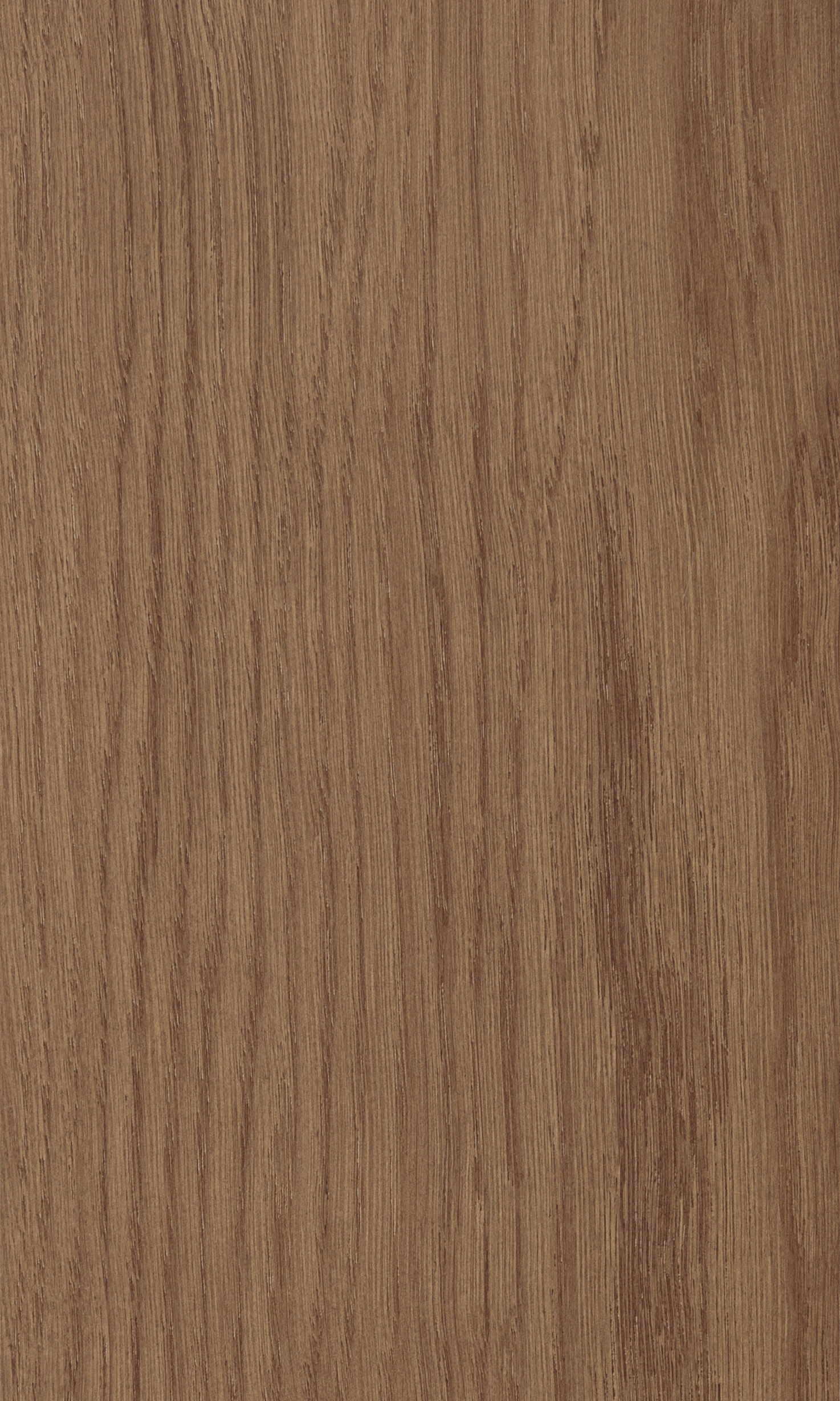 Deer color, Олений