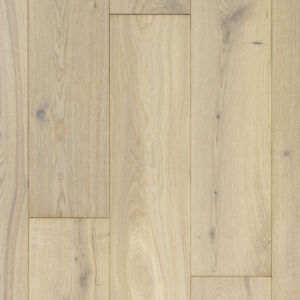 Giza Oak, Дуб Гизе